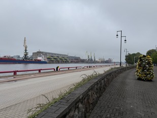 Foto č.6