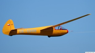 LG 425