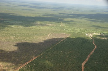 Nekonečné prérie jihovýchodního Texasu. 