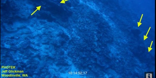 Trosky na mořském dně u atolu Nikumaroro, badateli považované za zbytky podvozku letadla Amelie Earhartové. Zdroj: Tighar