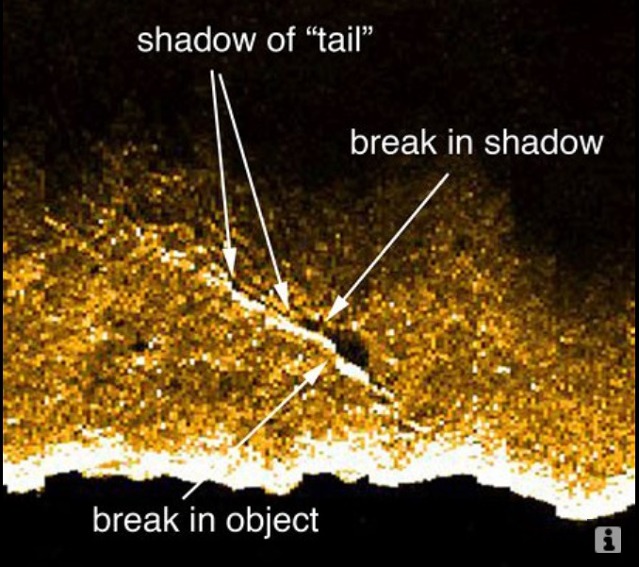 Jsou na těchto sonarových snímcích trosky trupu letounu Amélie Earhartové? Zdroj: Tighar