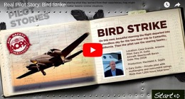 Rozbory nehod 5: Srážka letadla s ptákem