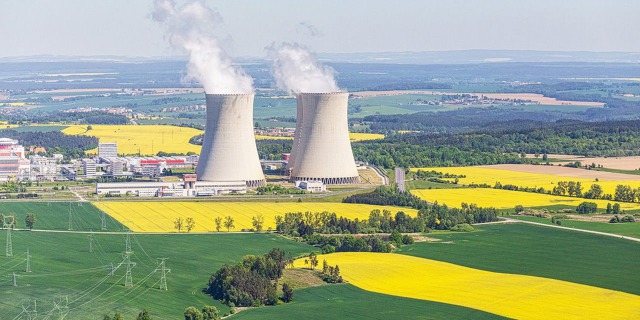 V řepkové záplavě se topí i jaderná elektrárna Temelín. Foto: Tomáš Vocelka, Aktuálně.cz