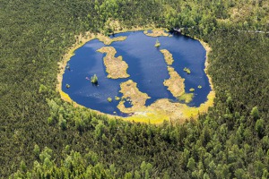 Chalupská slať u Borových Lad na Šumavě leží kousek od Vltavy. Foto: Tomáš Vocelka, Aktuálně.cz Chalupská slať u Borových Lad na Šumavě leží kousek od Vltavy. Foto: Tomáš Vocelka, Aktuálně.cz