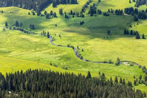 Horní tok Vltavy kousek za Borovými Ladami. V těchto místech kdysi stávala vesnice Březová Lada. Foto: Tomáš Vocelka, Aktuálně.cz Horní tok Vltavy kousek za Borovými Ladami. V těchto místech kdysi stávala vesnice Březová Lada. Foto: Tomáš Vocelka, Aktuálně.cz