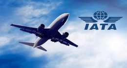 IATA, ilustrační foto.