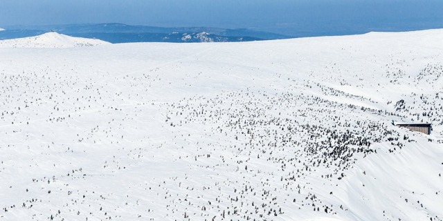 Takhle vypadají prameny Labe pod sněhem a shora.  Foto: Tomáš Vocelka, Aktuálně.cz