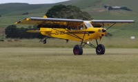 Shock Cub 1. Shock Cub 1.
