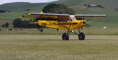 Shock Cub 1. Shock Cub 1.