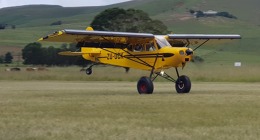 Shock Cub 1.