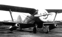 Polikarpov I-153 s přídavnými náporovými motory DM-4. Obr.: public domain Polikarpov I-153 s přídavnými náporovými motory DM-4. Obr.: public domain