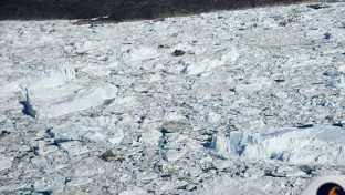 Kry zablokované sedlinami na konci fjordu u Ilulissat