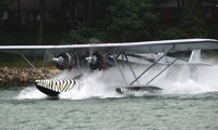 460-800.jpg