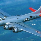 517-800.jpg