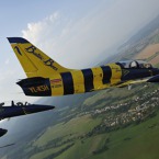 915-800.jpg