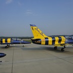 913-800.jpg