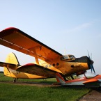 958-800.jpg