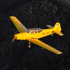 1044-800.jpg