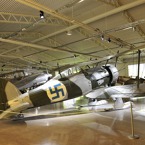 1166-800.jpg