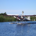 1282-800.jpg
