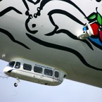 1449-800.jpg