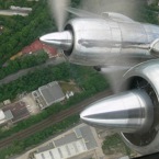 1637-800.jpg