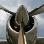 1638-800.jpg