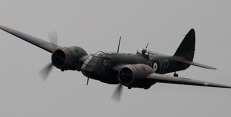 blenheim_mki_cr_web.jpg