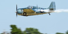 airventure_den5_1.jpg