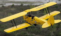 dsc6465_tiger_moth_cr_web.jpg