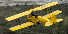 dsc6465_tiger_moth_cr_web.jpg