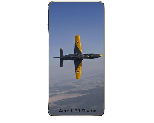 Aero L-39 Skyfox - 09