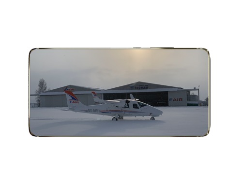 Tecnam-P2006T