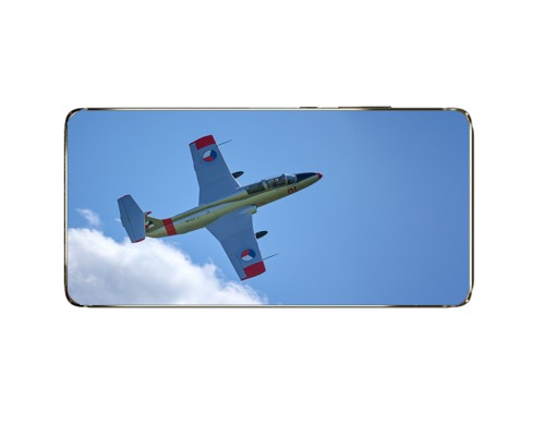L-29 Delfin - 1