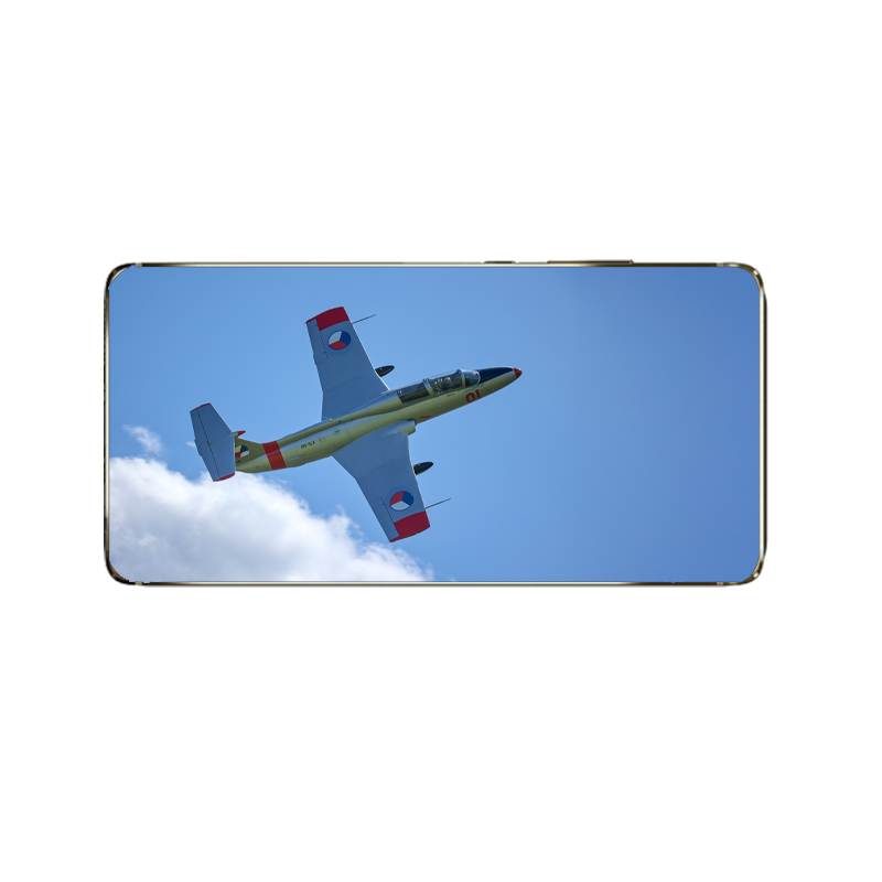 l-29-delfin-1.jpg