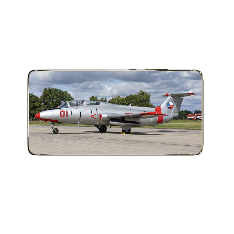 l-29-delfin-3.jpg