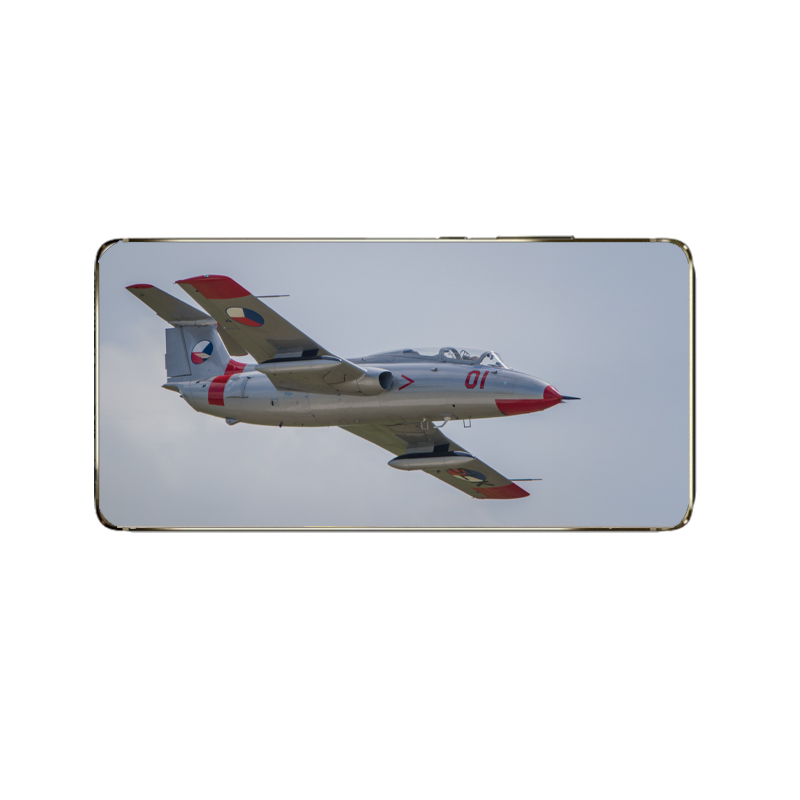 l-29-delfin-5.jpg
