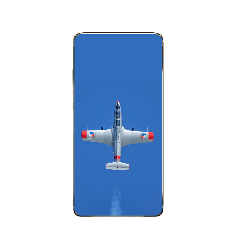 l-29-delfin-7.jpg