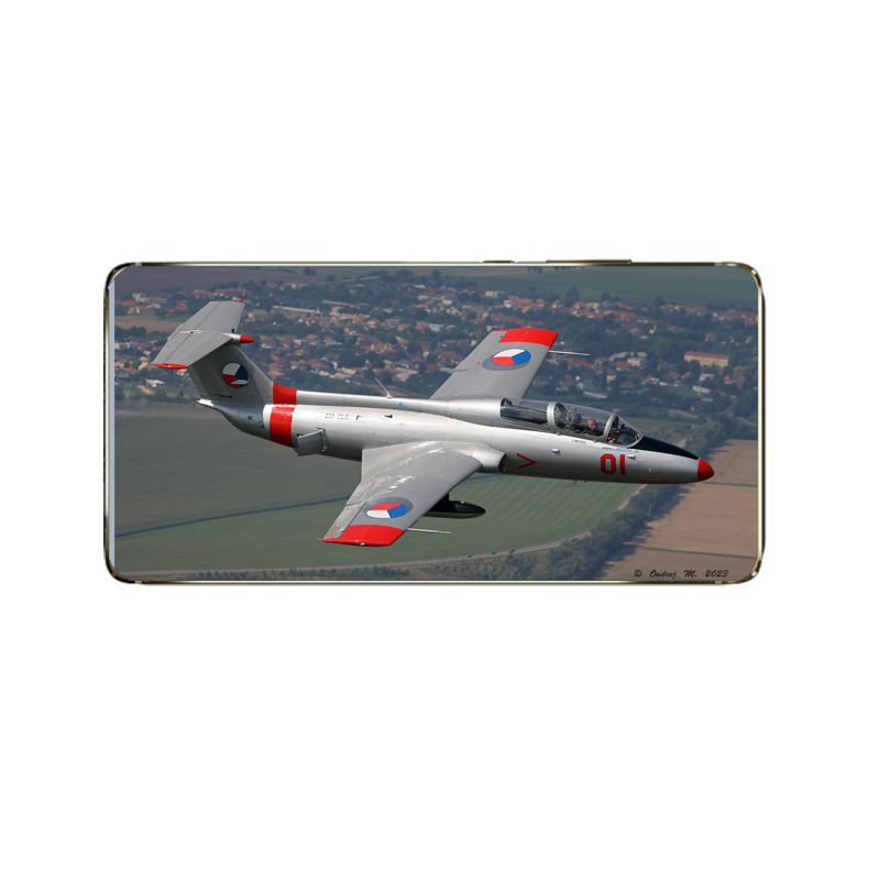 l-29-delfin-9.jpg