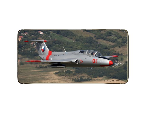 L-29 Delfin - 10