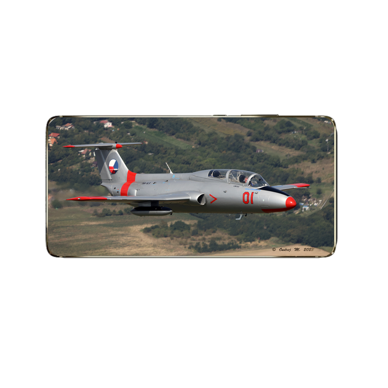 l-29-delfin-10.jpg