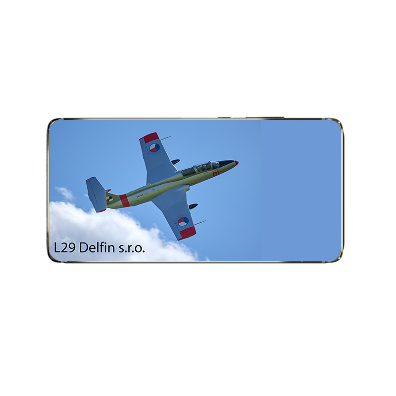 l-29-delfin-1-logo.jpg