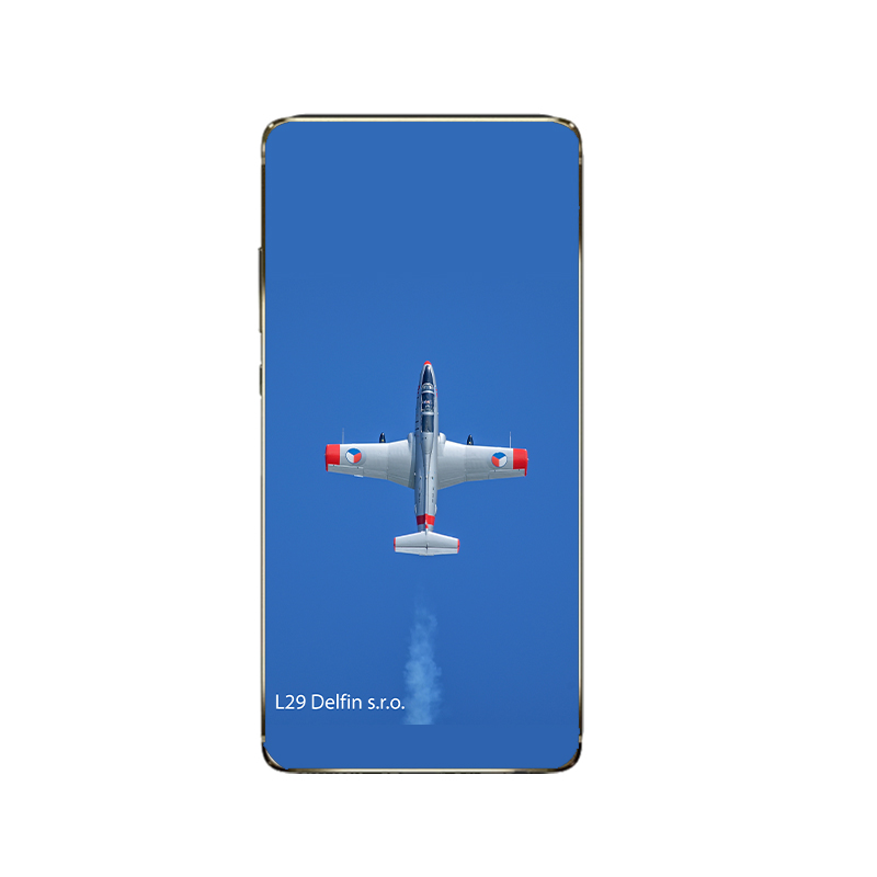 l-29-delfin-7-logo.jpg
