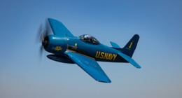 Letadla s býky na Aviatické pouti v Hradci Králové