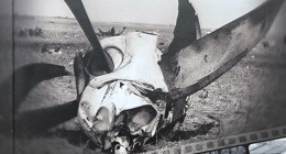 Novinka na trhu knih - "Letecké nehody"