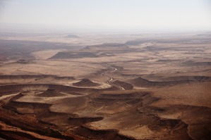 07_800x537.jpg