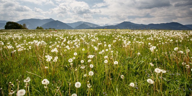 slovensko_pod_tatrami_640x347.jpg