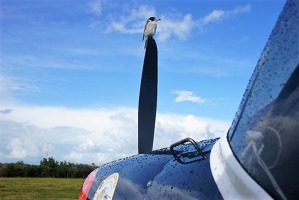 1702_1024x683.jpg