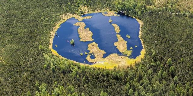 Chalupská slať u Borových Lad na Šumavě leží kousek od Vltavy. Foto: Tomáš Vocelka, Aktuálně.cz