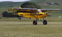 shock_cub_1_1280x622_-min.jpg